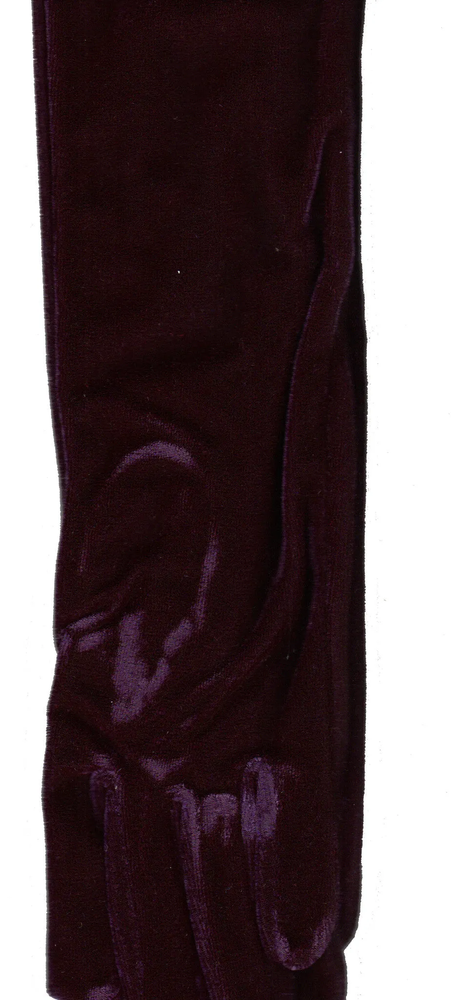 Lauer Stretch Velvet 12 Button Length Glove