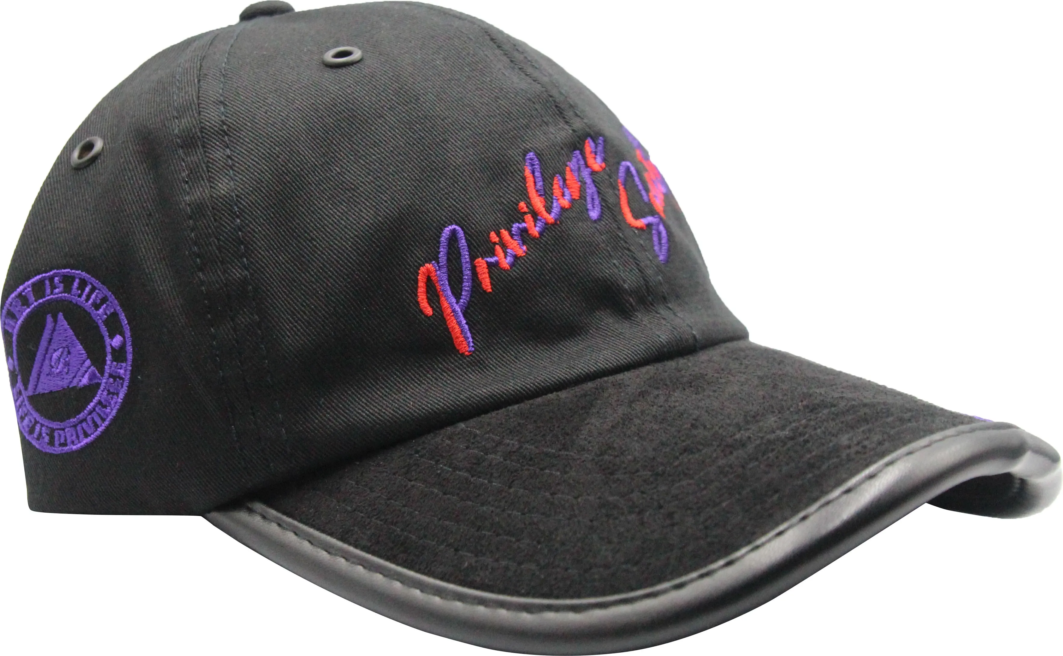 PS Limited Script Dad Hat, Black/Teal